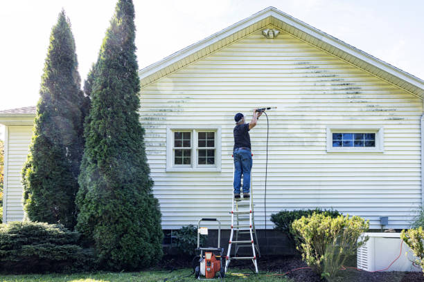 Best Roof Pressure Washing  in Lake City, GA